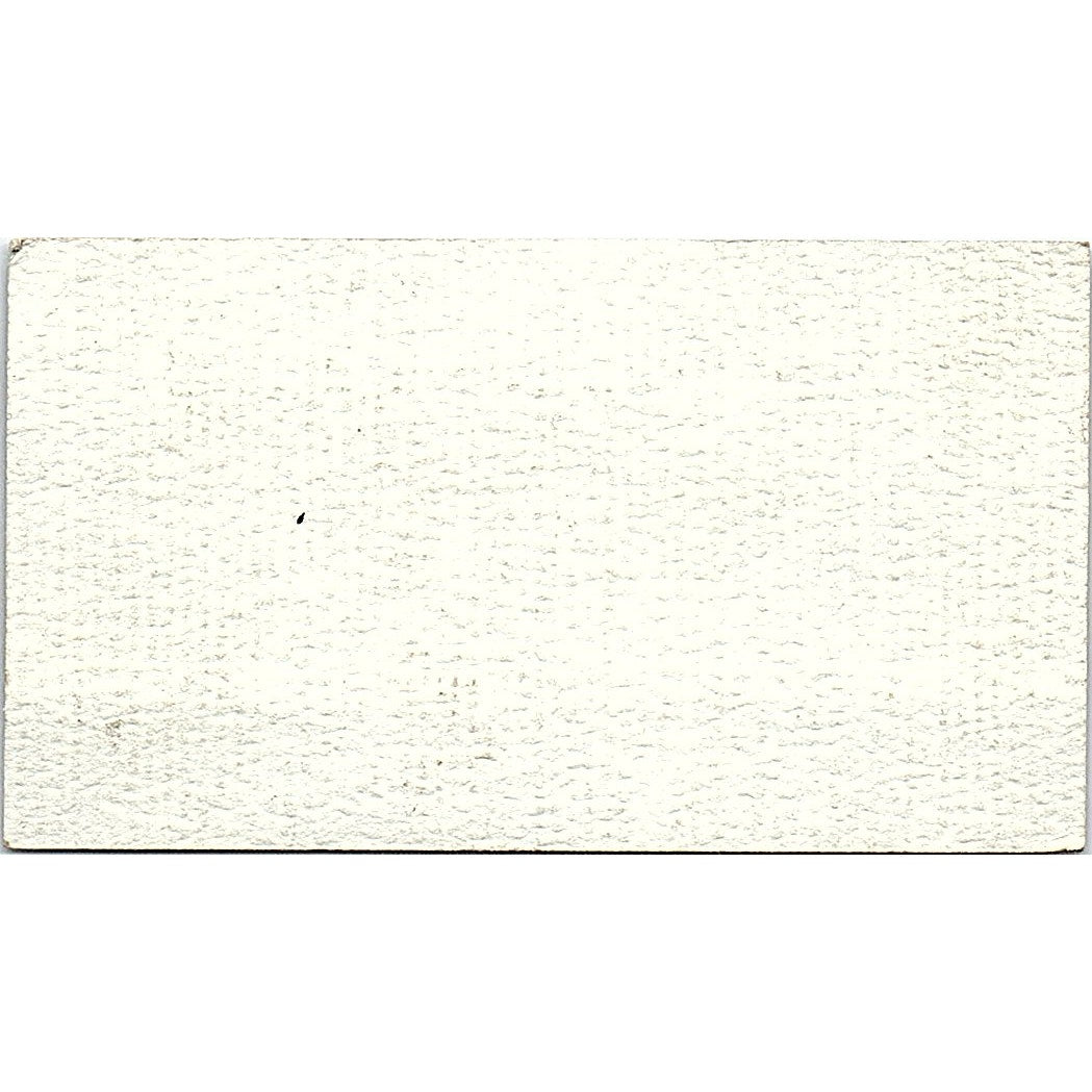 Marine Surveyor & Consultant E Gerard Rees River Ridge LA Business Card SSB4-B13