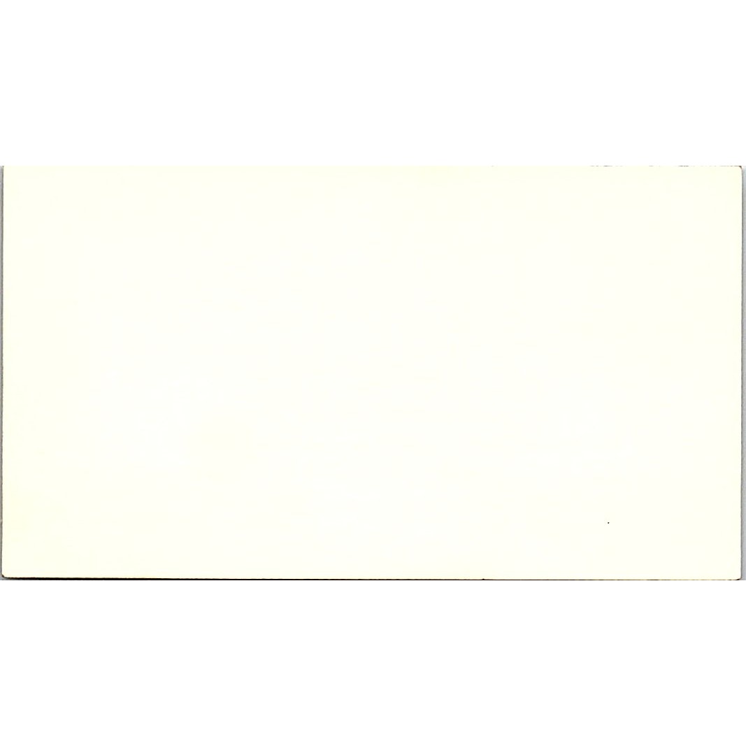 Arthur Tertyshny London Offshore Consultants Inc Houston Business Card SD9-B13