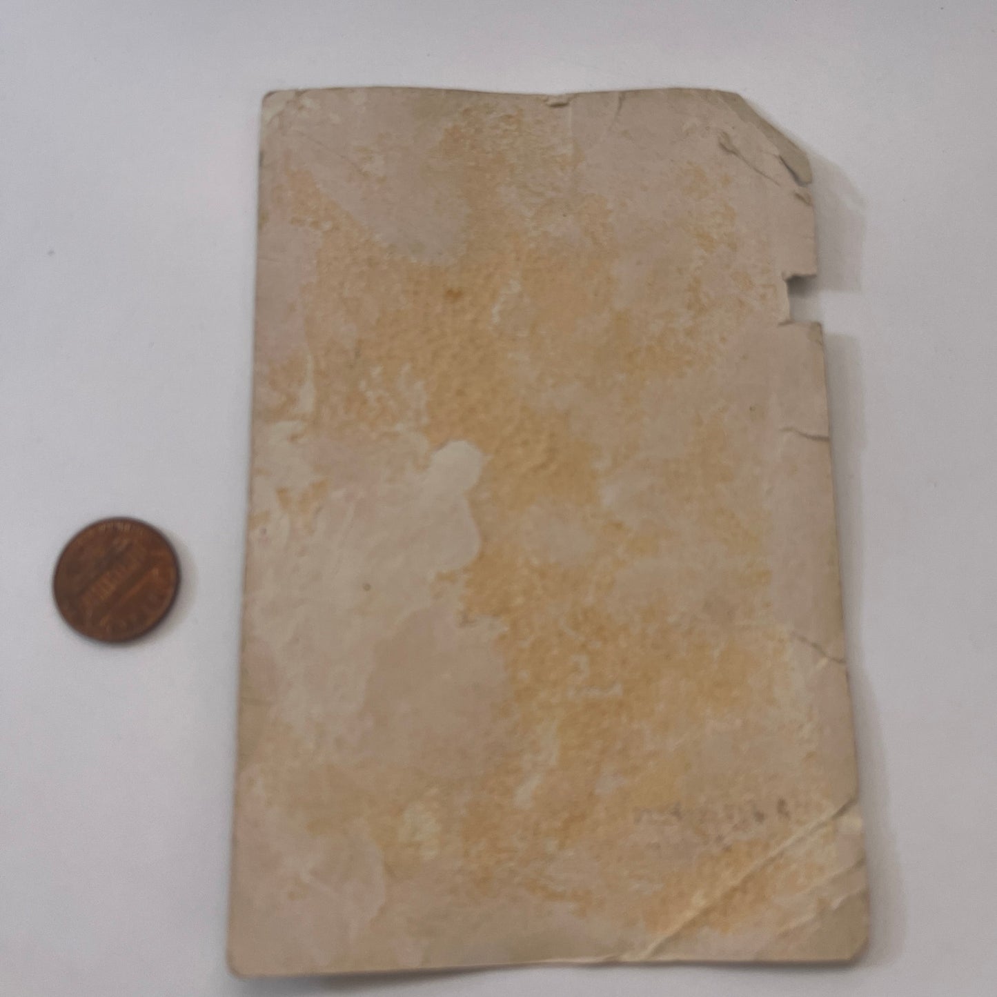 A Joy To Thee This Christmas Mandolin Lute 1880s Victorian Trade Card AG8-H4