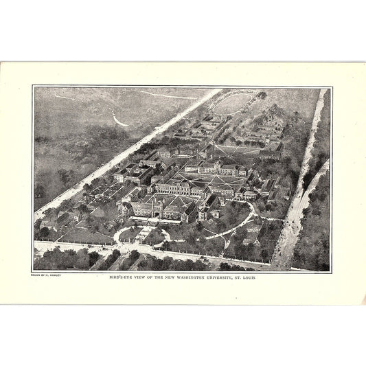 Birds-Eye View of New Washington University Drawn By H. Hawley 1903 AG3-7