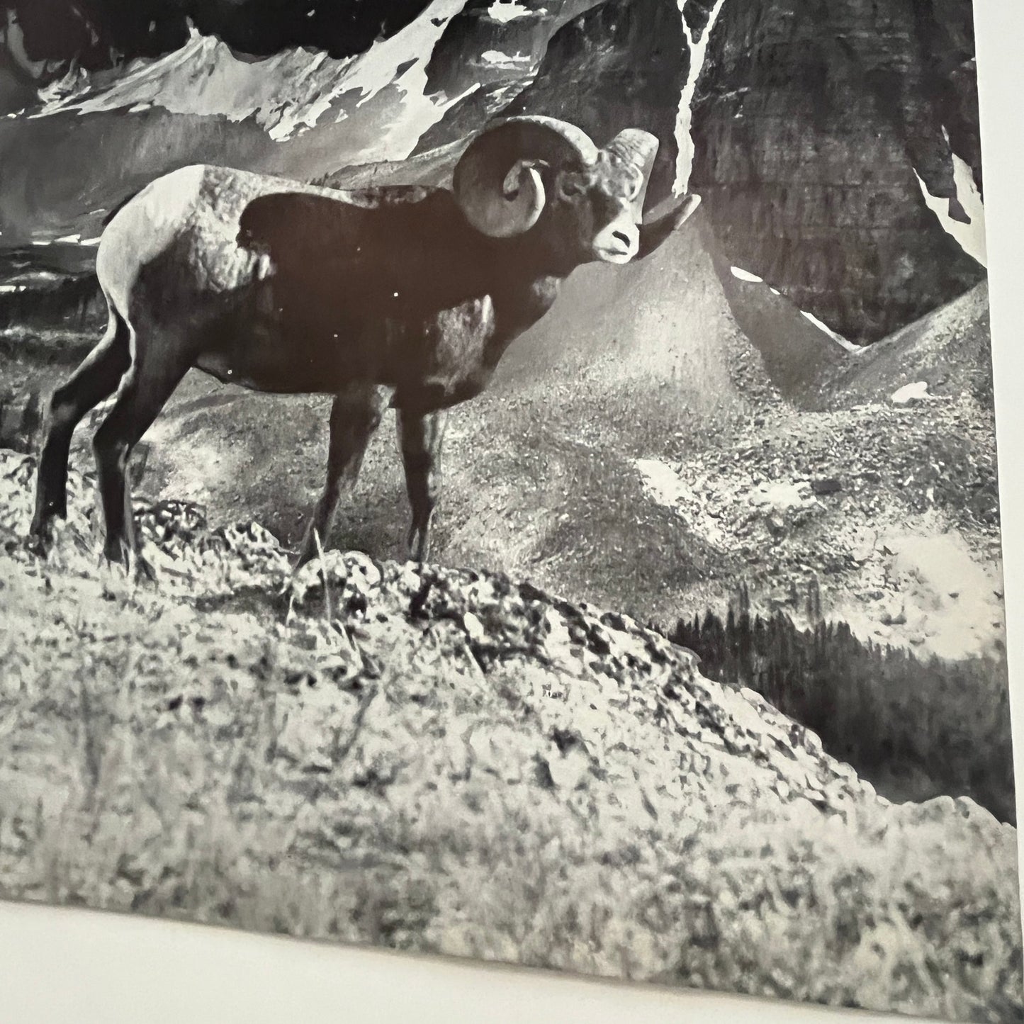 Hunting in Canada Wall Art 1941 Art Print SV1-5