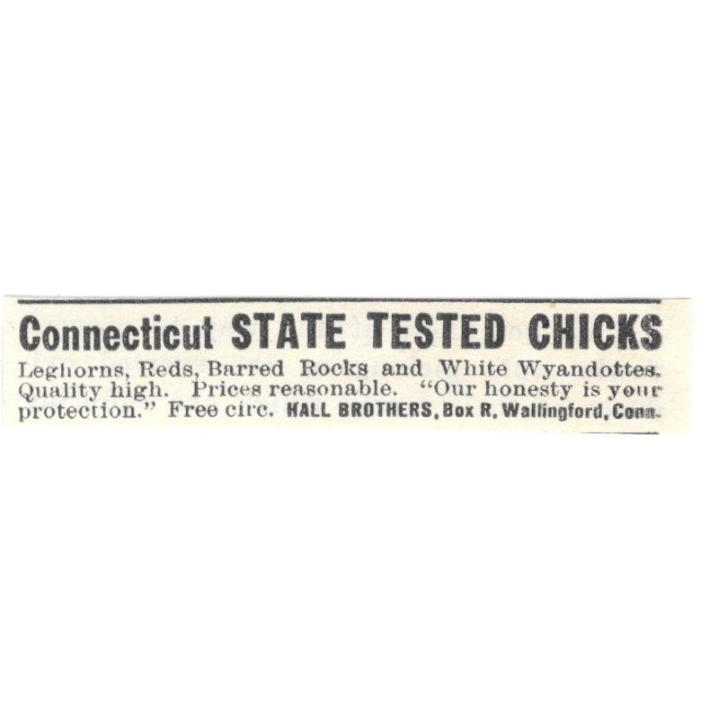 Hall Brothers State Tested Chicks Wallingford CT 1924 Ad AG3-S8