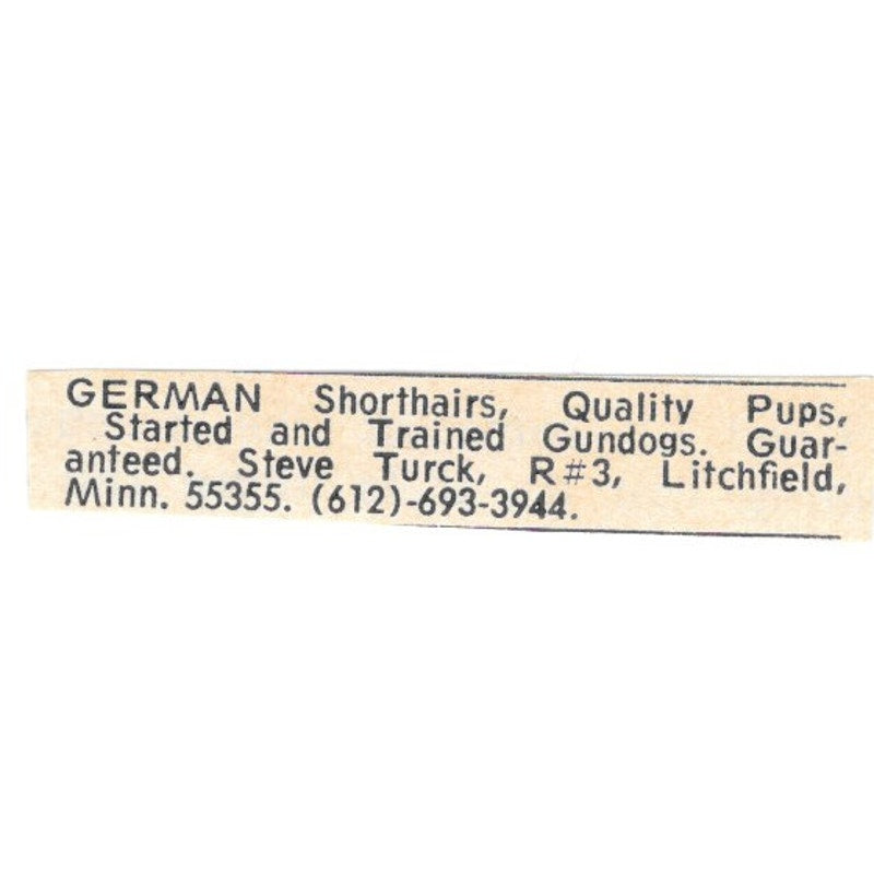 Steve Turck German Shorthairs Litchfield MN 1977 Ad AF6-S9