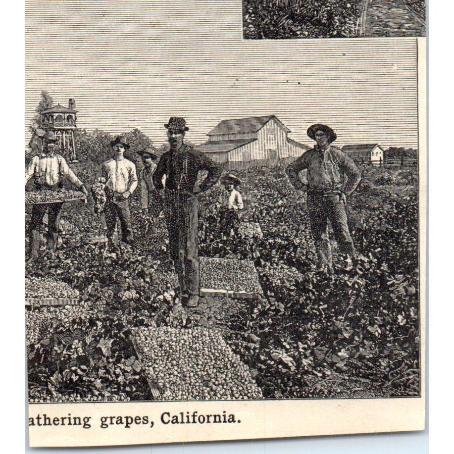 Mount Hood in Oregon 1901 Engraving AF2-P1