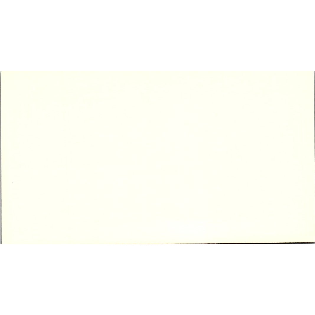 Bocek Carpet Service woodforest Bivd Houston Texas Vintage business Card SF3-B6