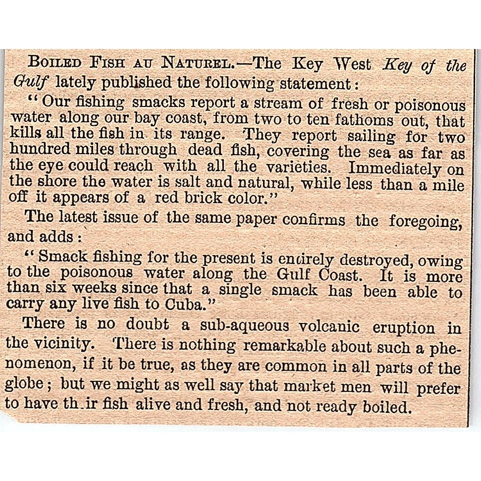 Boiled Fish Au Natural - The Key West Key of the Gulf 1878 Article AG2-H3