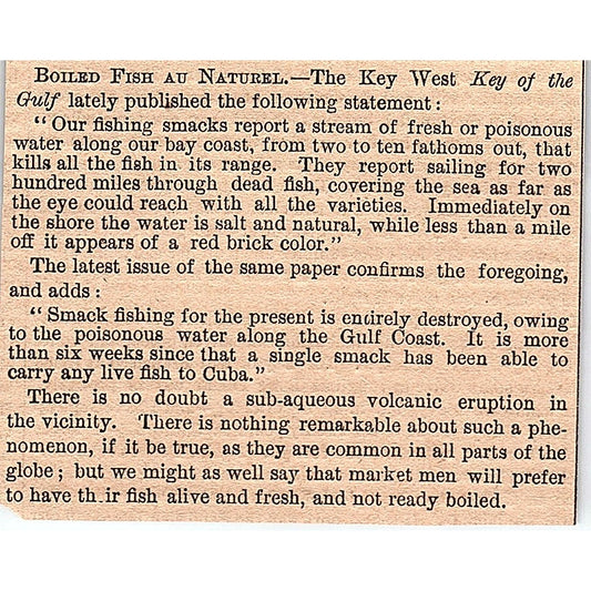 Boiled Fish Au Natural - The Key West Key of the Gulf 1878 Article AG2-H3
