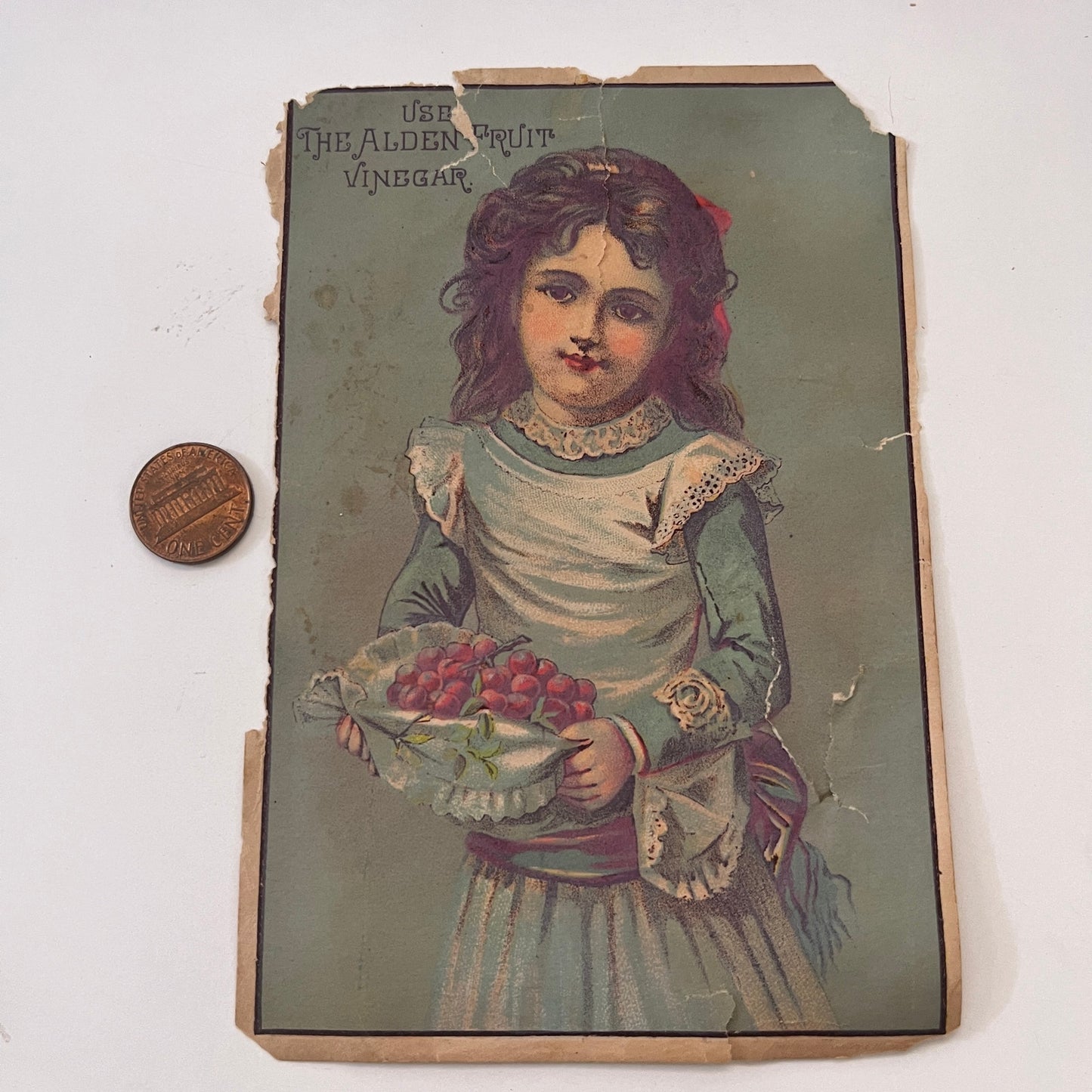 Girl With Grapes - Alden Fruit Vinegar 1880s Victorian Trade Card AG8-H4