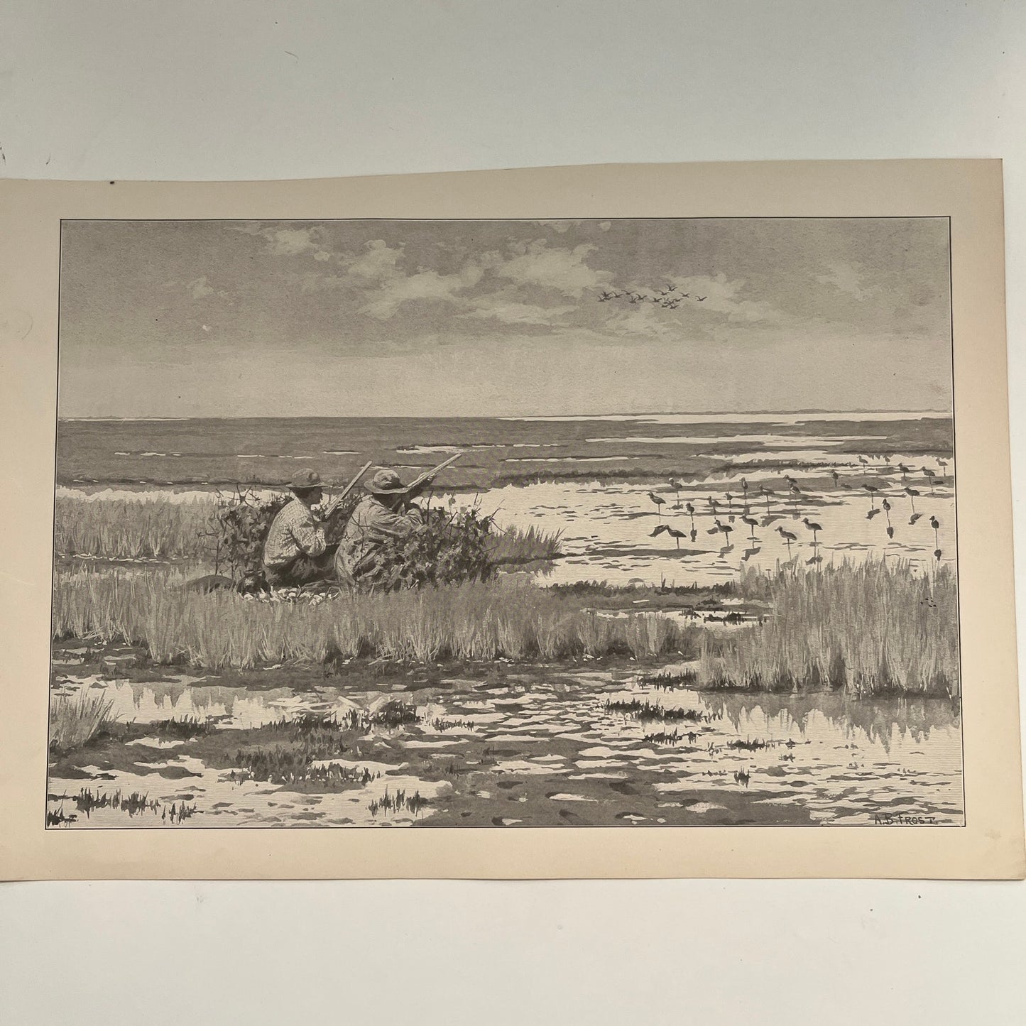 Snipe Shooting - Hunting Scene - Original 1904 A.B. Frost Art Print V26-4
