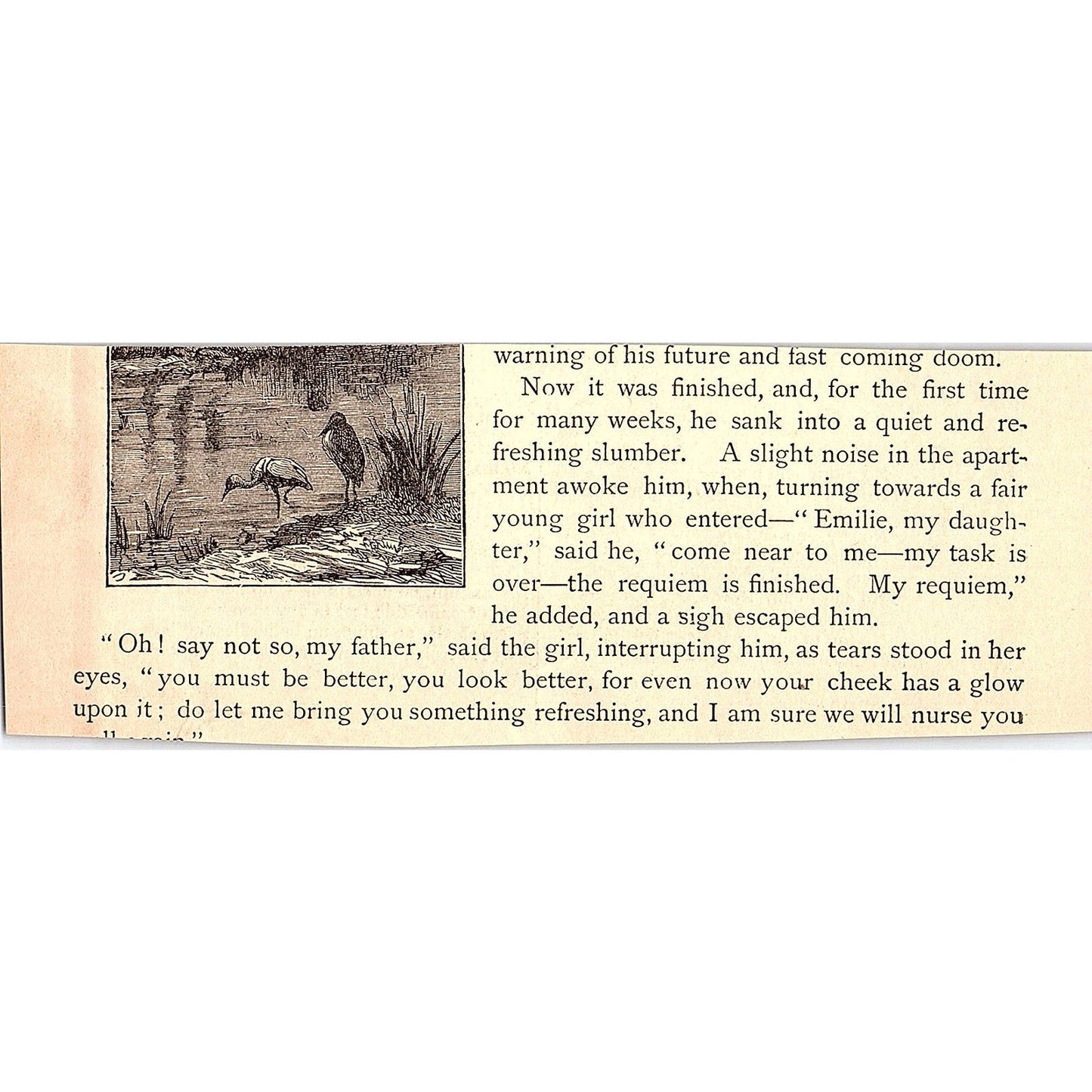No! - Thomas Hood 1884 Poem AG3-H2