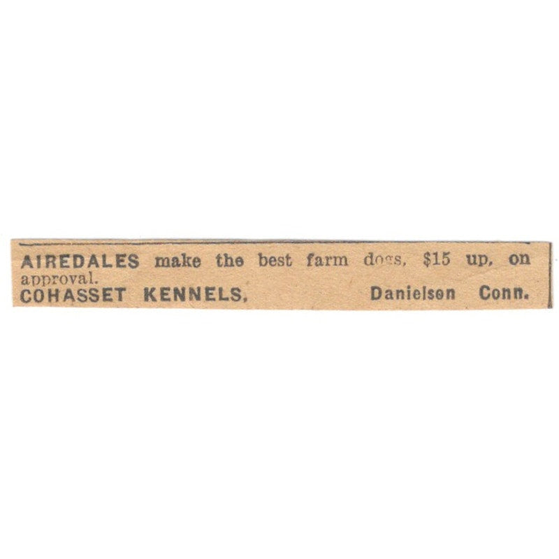 Cohasset Kennels Airedales Danielson CT 1922 Magazine Ad AF2-T2