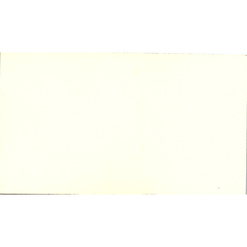 Rostex Crane & Constructors Inc Ross King Jr Pasadena TX Business Card SC9-B1