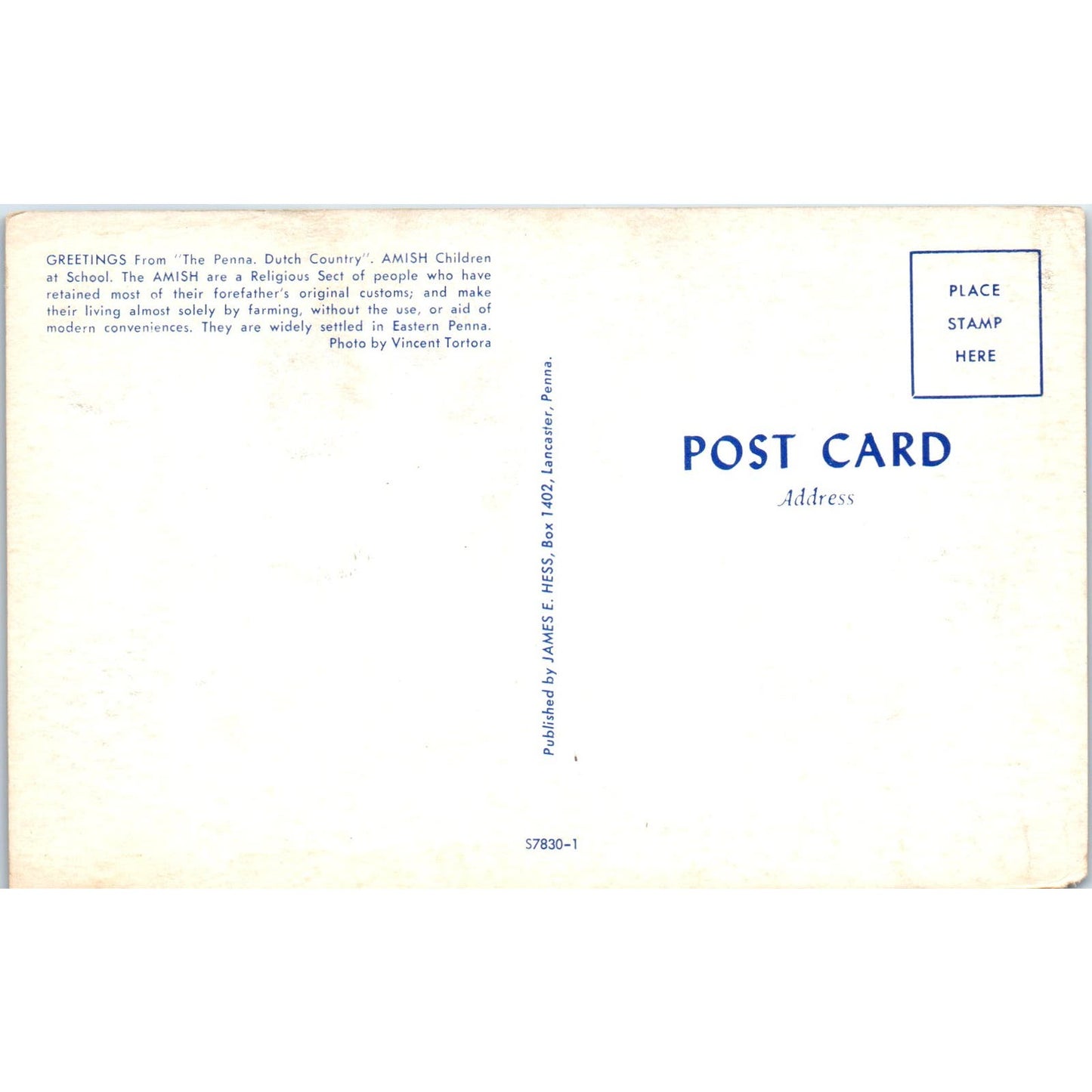 Amish Children at School Pennsylvania Dutch Country Postcard PD7