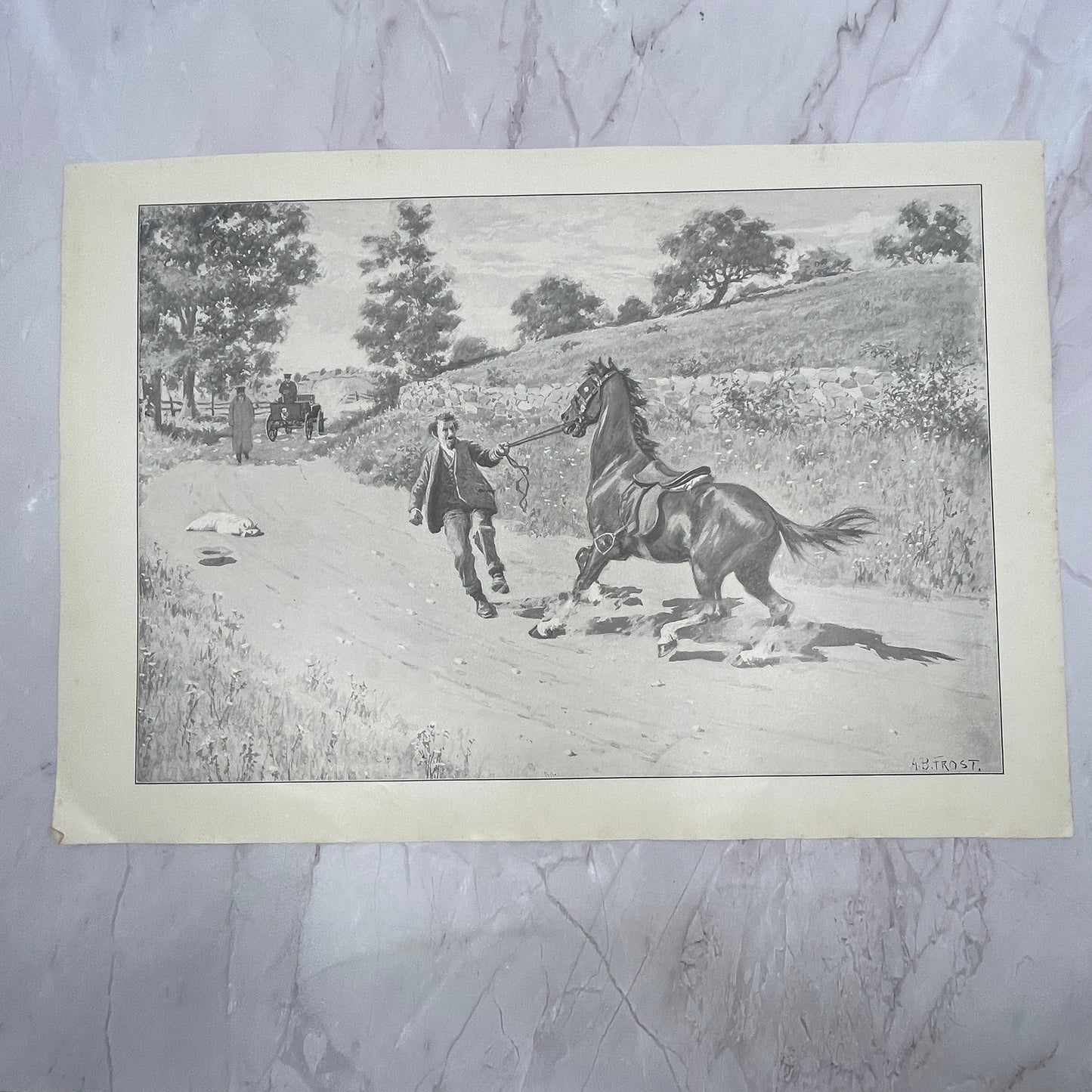 Woah There - Spooked Horse - Original 1904 A.B. Frost Art Print V14-3