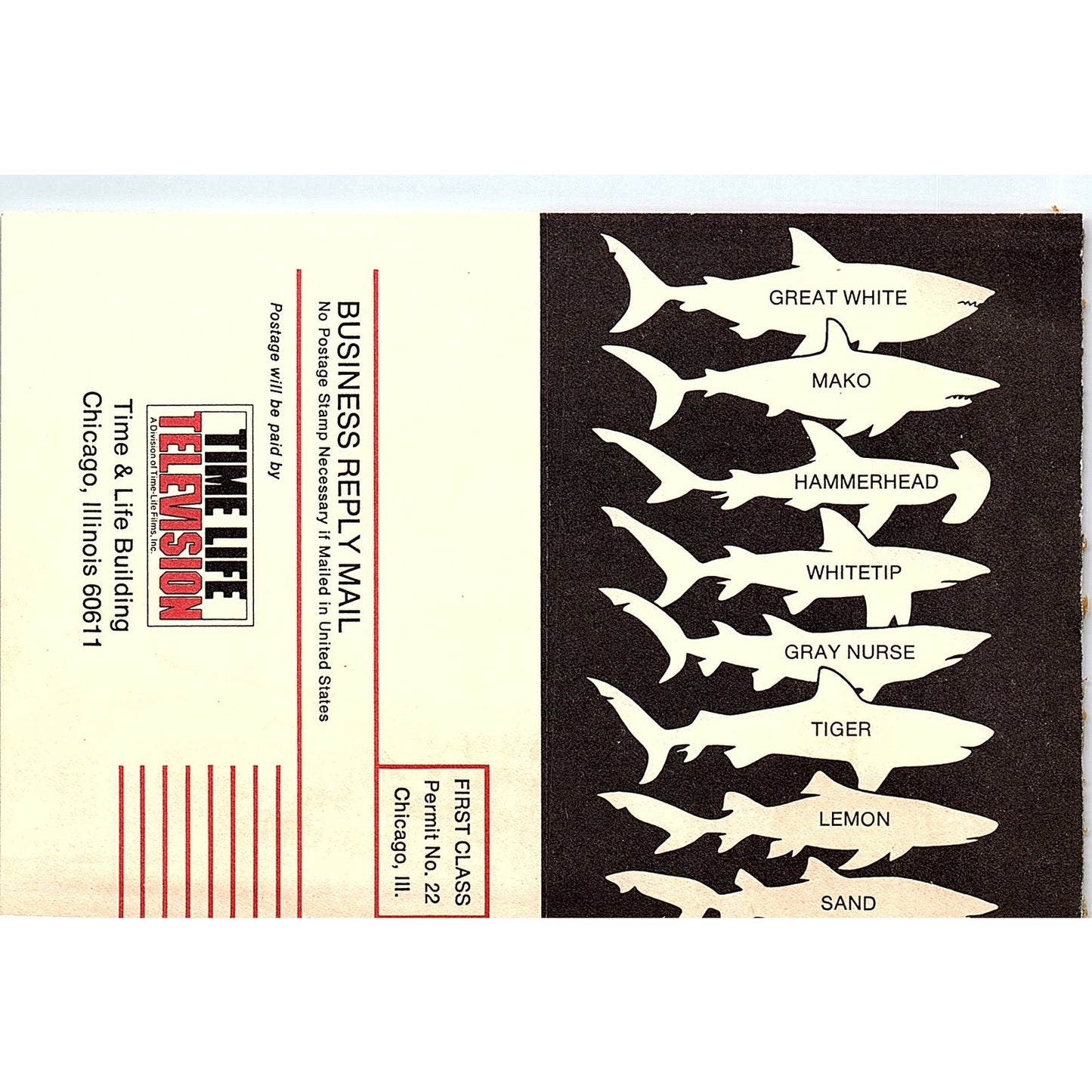 Dangerous Sea Creatures Time Life Television Postal Mailing Card 1977 Ad AF6-5
