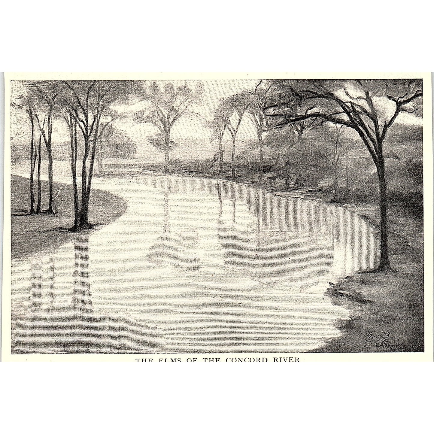 The Elms of the Concord River - Elizabeth Wentworth Roberts 1903 Art Print AG7-2