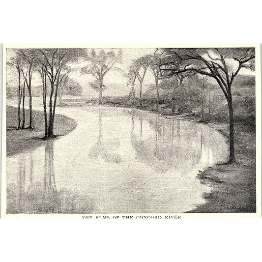 The Elms of the Concord River - Elizabeth Wentworth Roberts 1903 Art Print AG7-2
