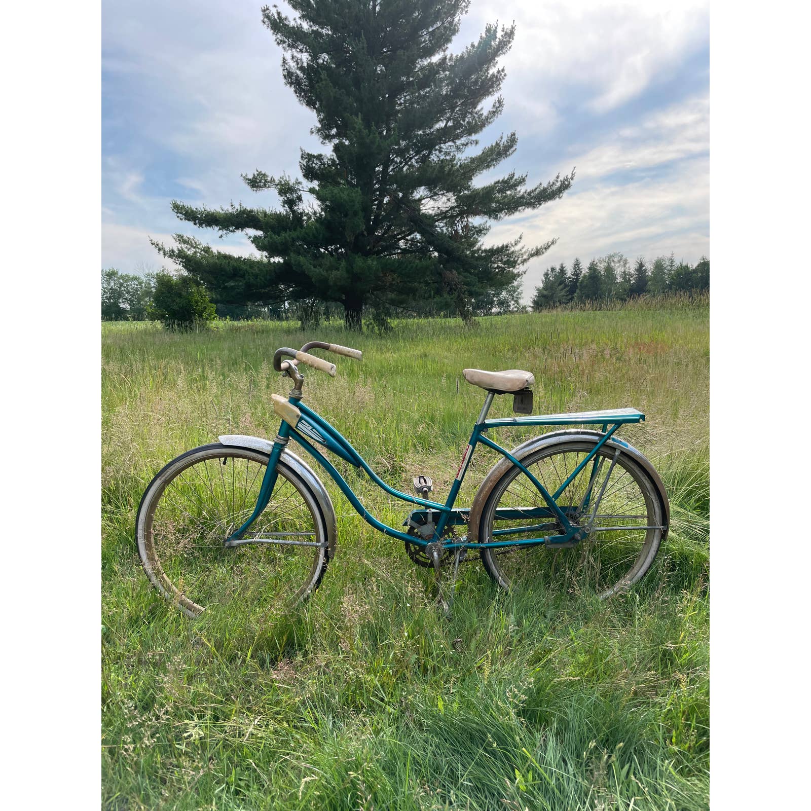 1950's schwinn bicycles Vintage 1953 1950s Teen Girls 26” Rollfast Super Deluxe Bike Bicycle – Everyday Ephemera