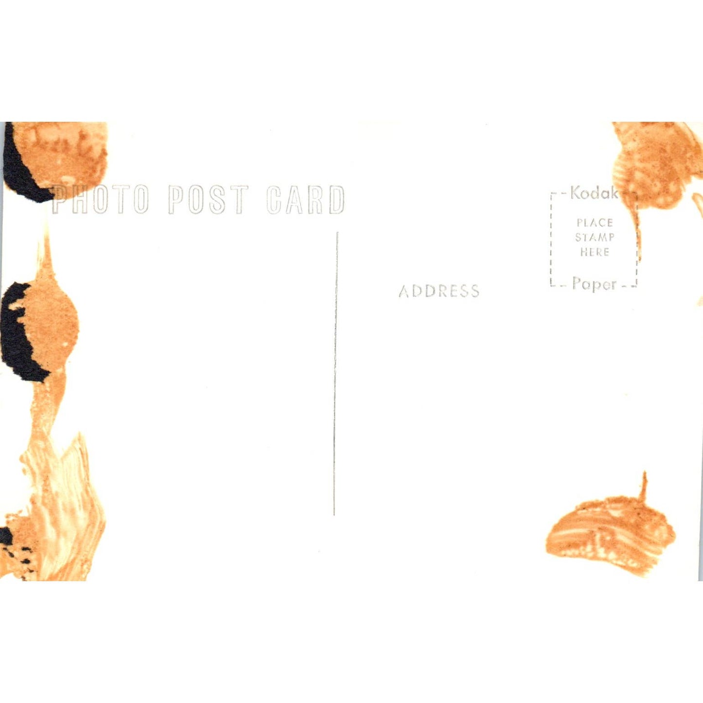 University of Alaska Museum RPPC Alaska Original Postcard TK1-29