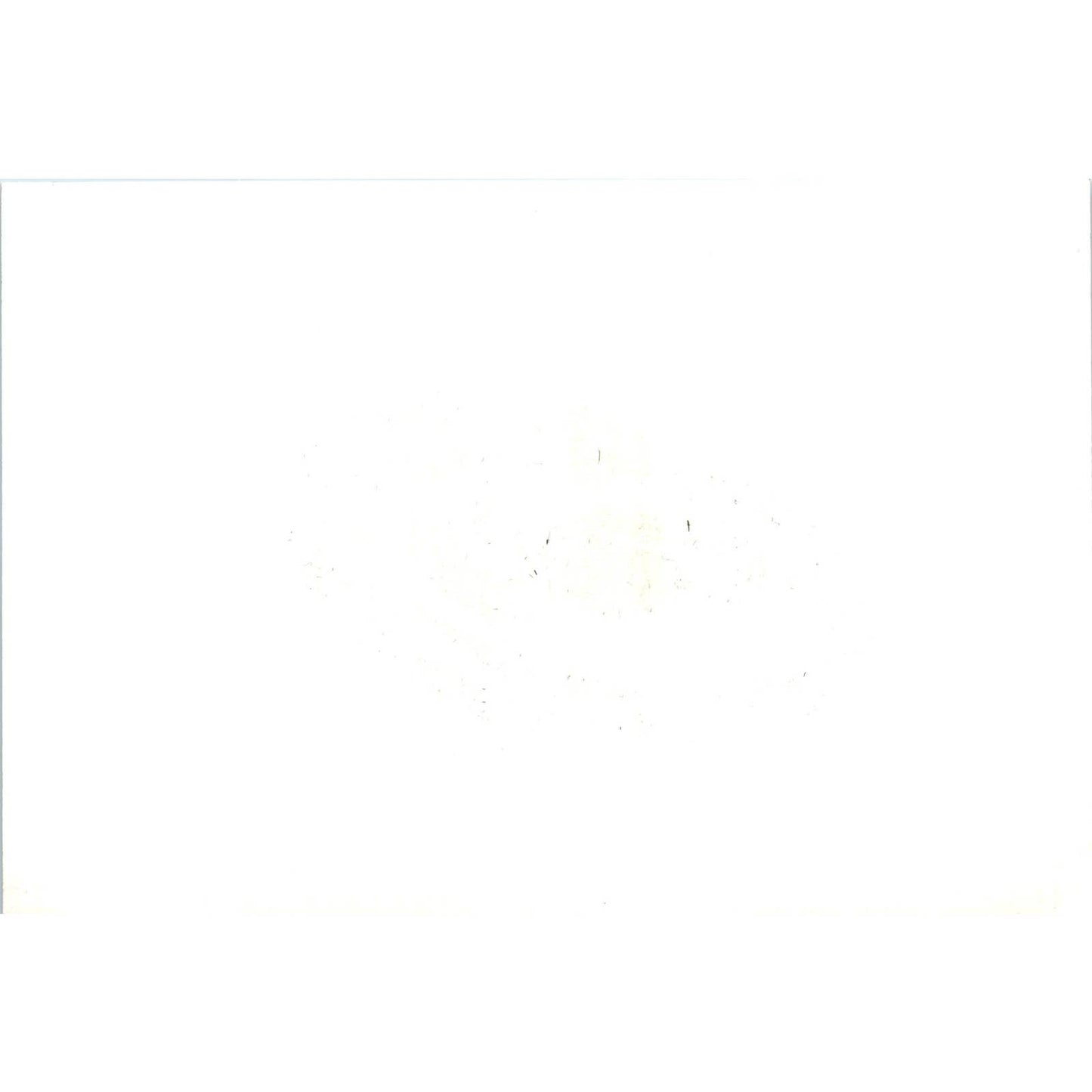 Dr. Bernard Fall Interview KELO TV 1966 Original Photo 5x7 TK1-P4