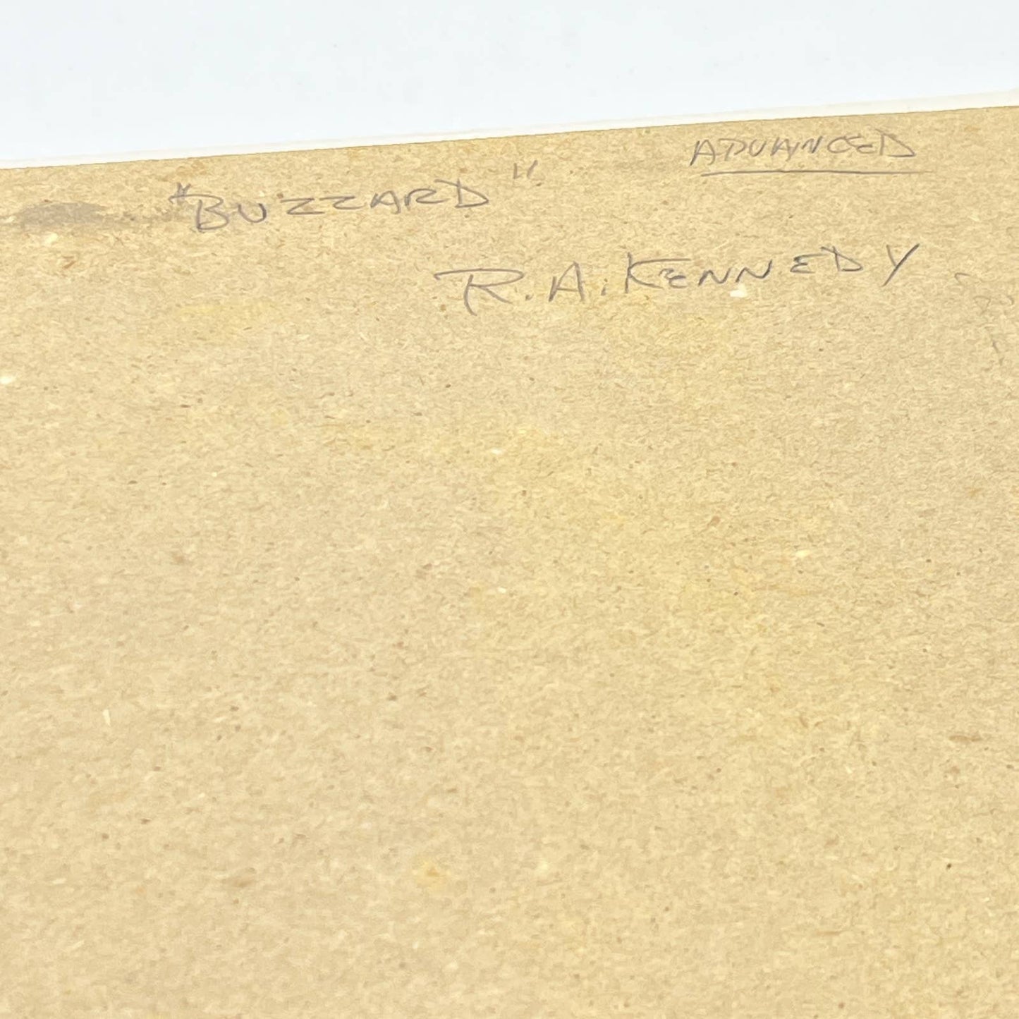 Vintage Original Matted Photo "The Buzzard" Randolph Allen Kennedy 11x14 FL4