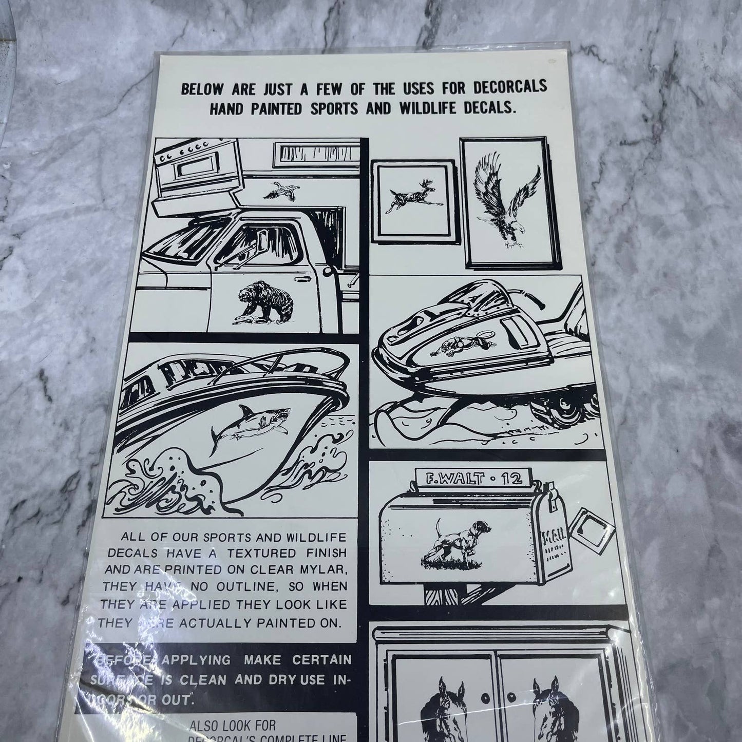 1979 NEW NOS Decorcal Sports & Wildlife Decal W-24 Fox FL5