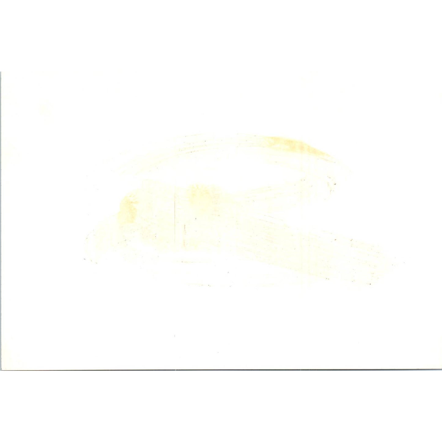 1965 Conference Nils A. Boe, Juan Felipe Yriart Douglas Yriart Photo 5x7 TK1-P4