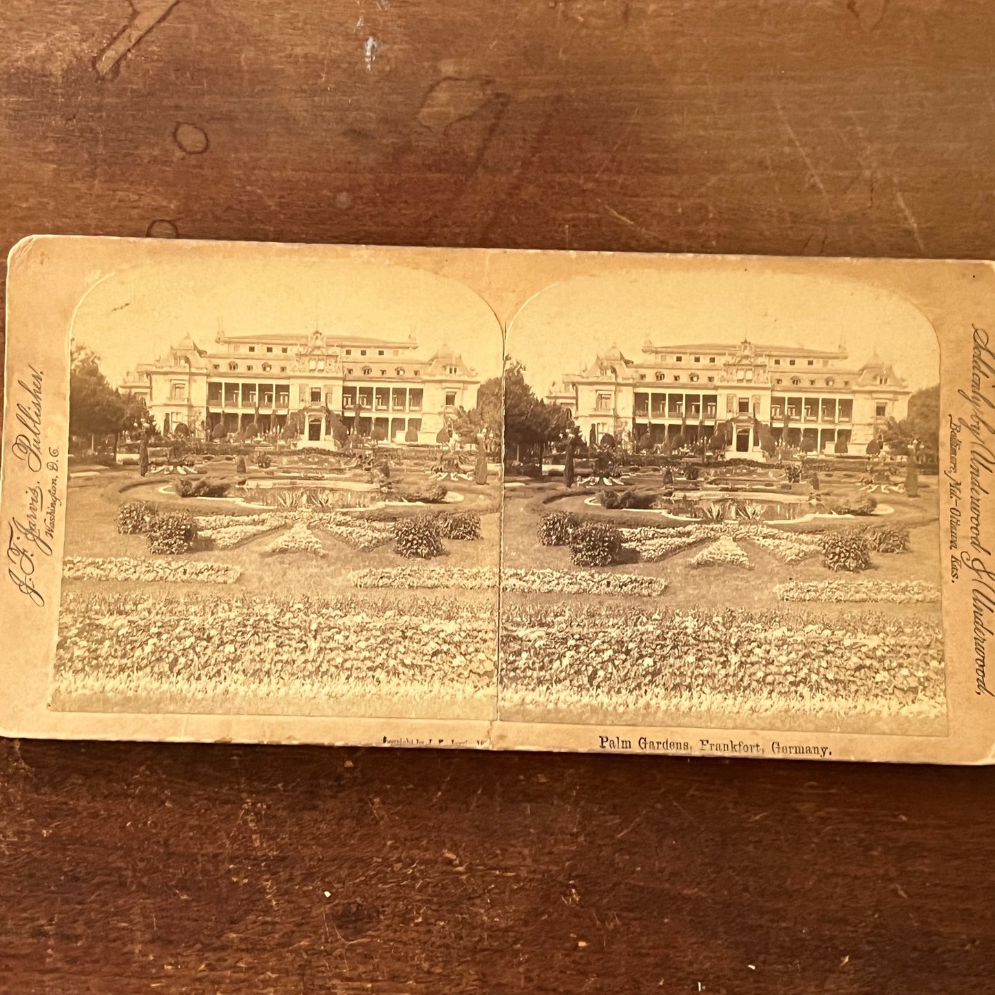 Palm Gardens Frankfurt Germany Antique Stereoview Card H2-3