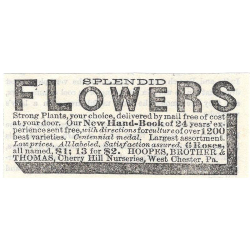 Splendid Flowers Hoopers, Brother & Thomas West Chester PA - Ad 1878 TJ7-L2-3
