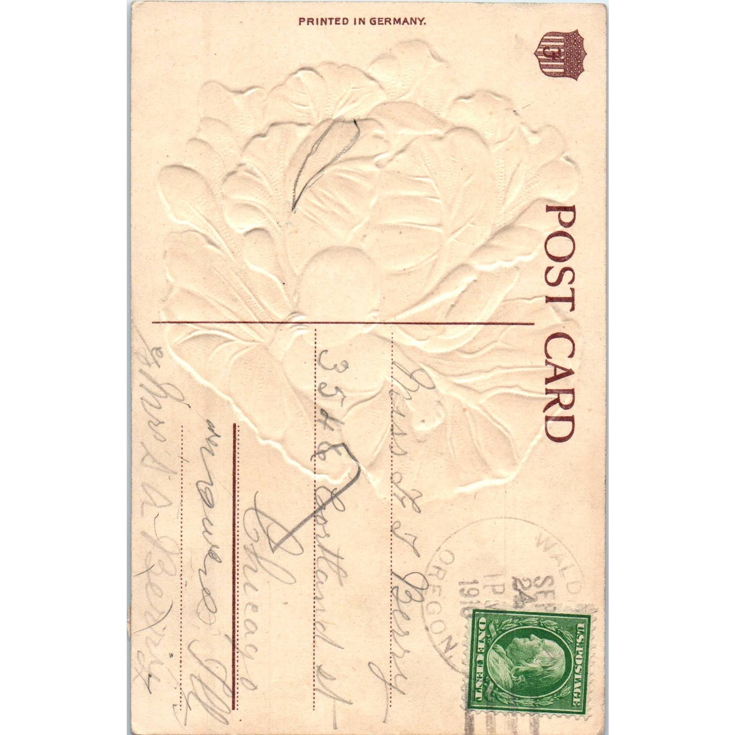 A Note From Waldport Oregon Baby in Cabbage 1910 Original Postcard TK1-P15