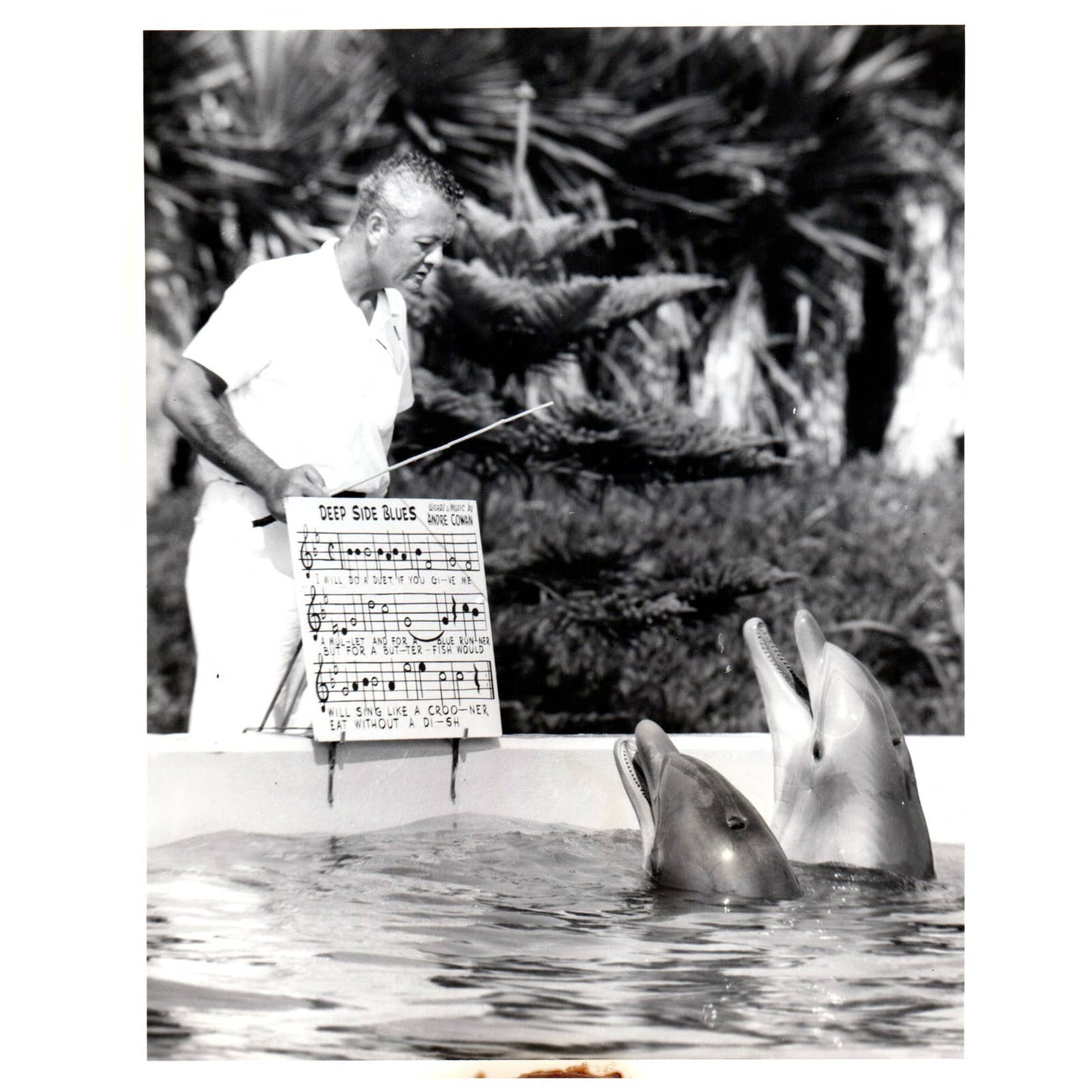 c1960 Press Photo Dolphin Trainer Andre Cowan Marineland Circus NBC TJ7-2
