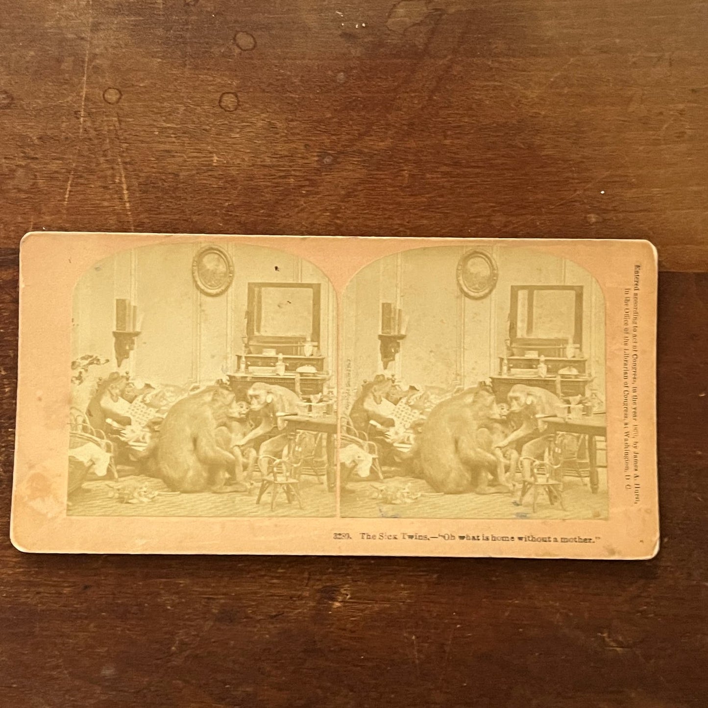 Victorian Monkeys Staged As Humans The Sick Twins 1870 Stereoview Card TJ9-V2