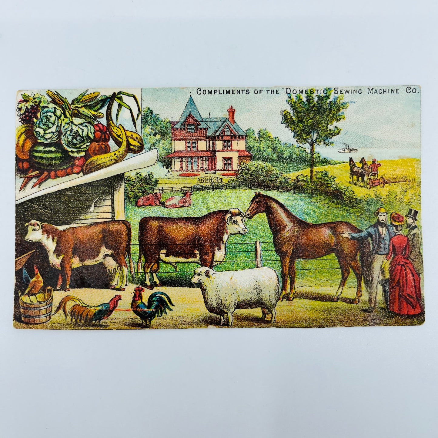 1880s Victorian Trade Card Domestic Sewing Machine Co. Farm Animals SAH9-M11