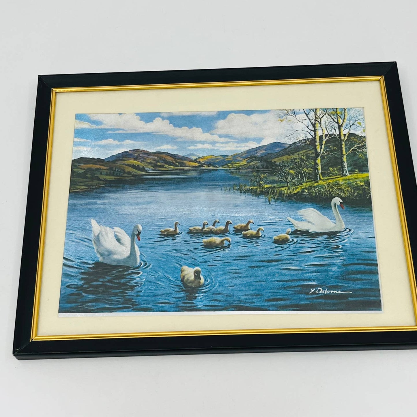 Vintage Lenticular Osborne Swan Family Pond Waxed Foil Framed Print 8x10 TB6