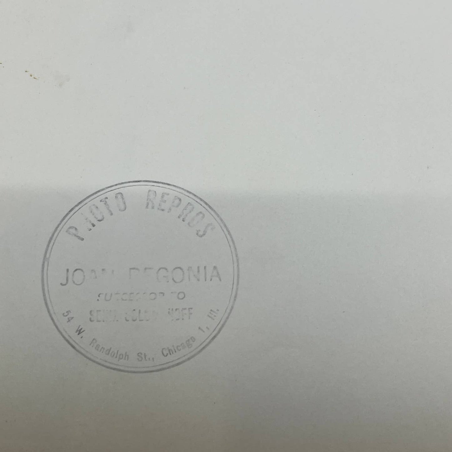 1940s Hollywood Blonde Starlett Photograph 8x10" Maurice Seymour AB7