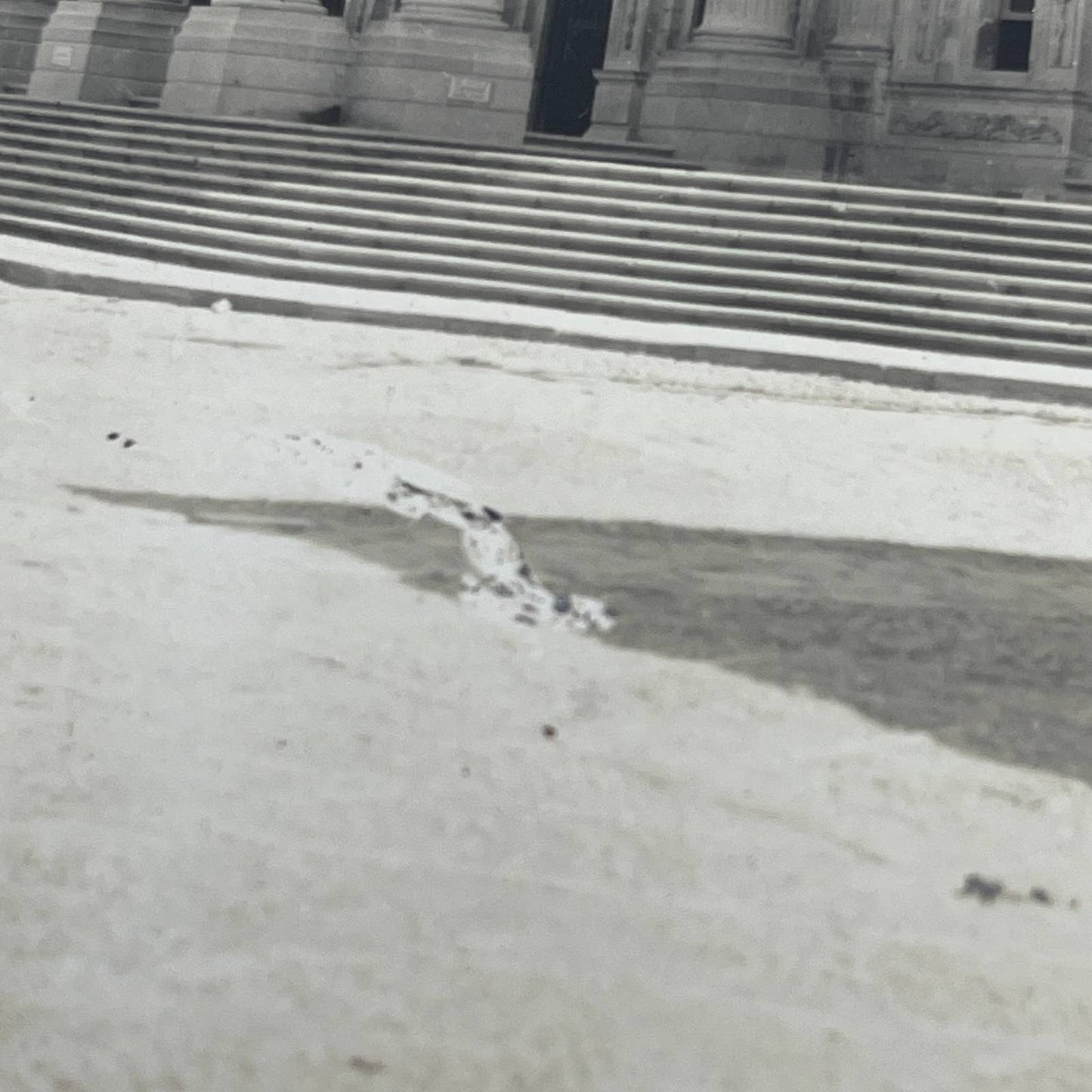 1903 Original Sepia Photograph Teatro de la Paz San Luis Potosi Mexico AC7