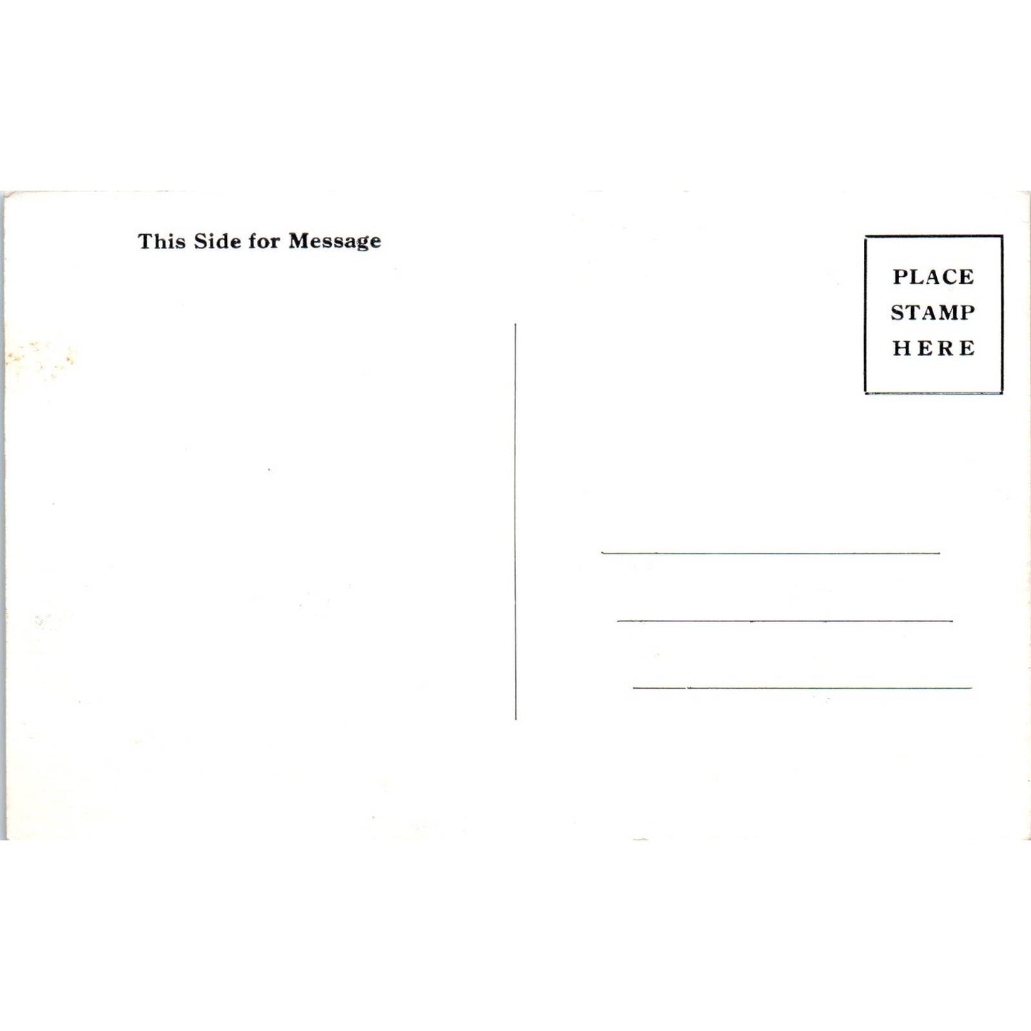 Vintage Postcard Federal Cattle on Range at Delaware Ohio TD9