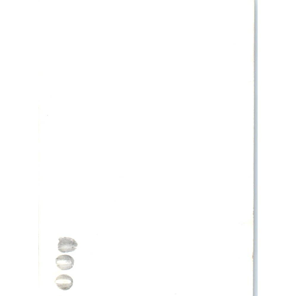 c1930 Original Photo Tabby Cat Walking on Plank 2.5x3.5 TJ9-PG7