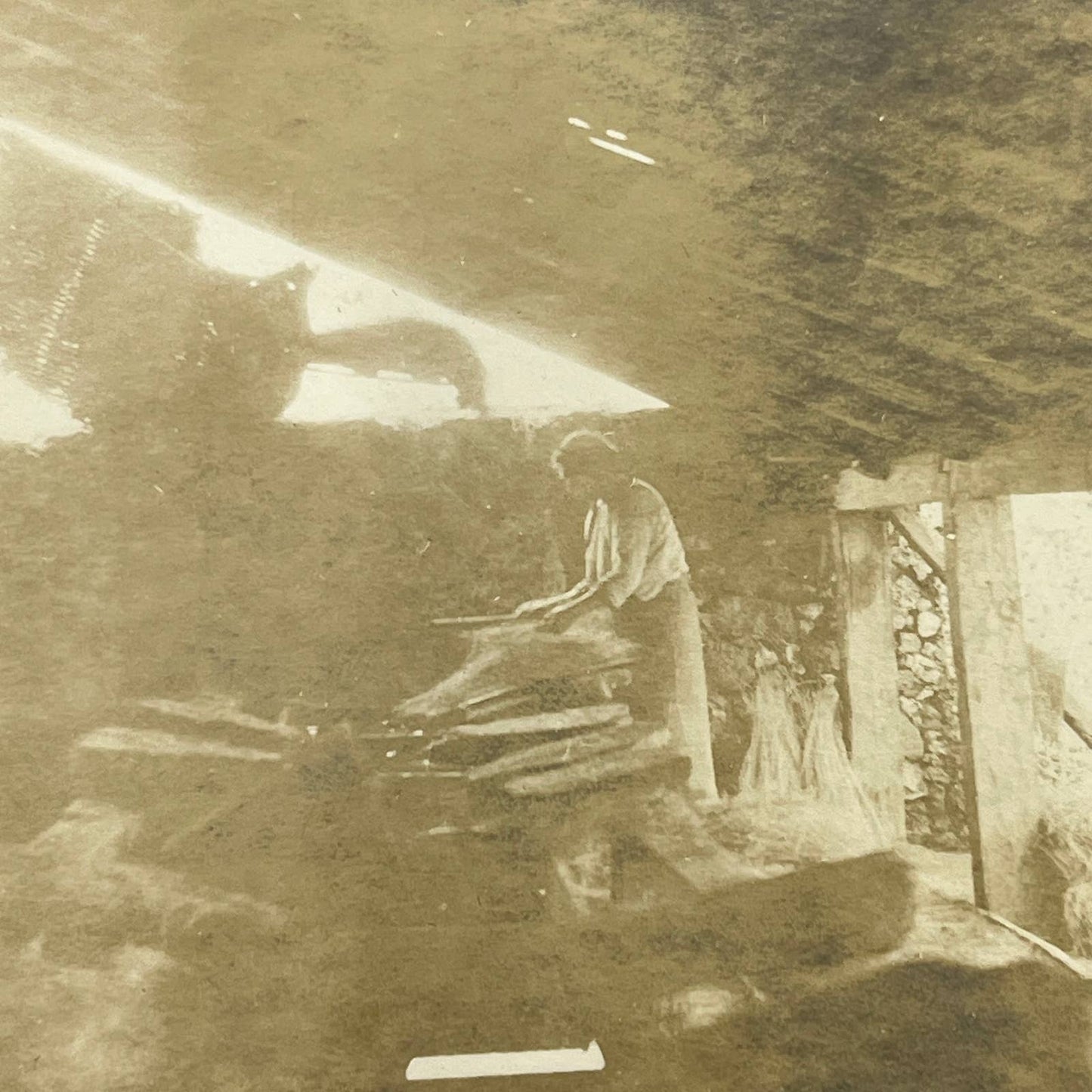 1903 Original Photo Cleaning & Washing Broomroot Las Vigas Veracruz Mexico AC7