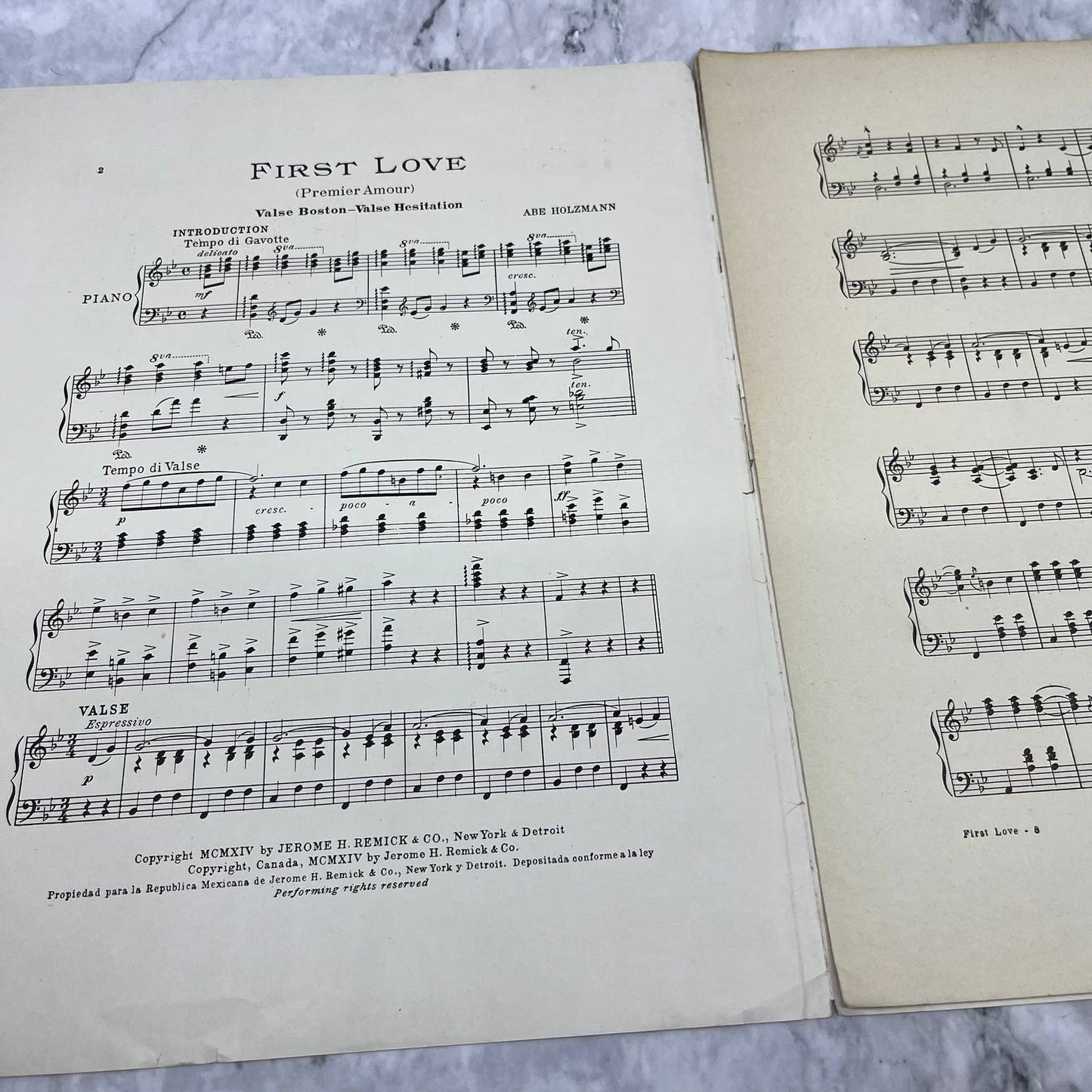 1914 First Love Premier Amour Sheet Music Abe Holzmann Jerome Remick TJ4