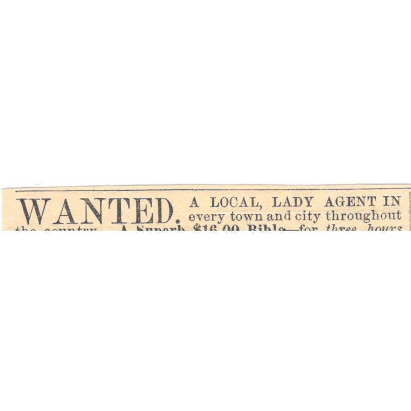 Bible Sales Lady Estill & Co. Publishers Mansfield OH Ad 1878 Original TJ7-L2-4
