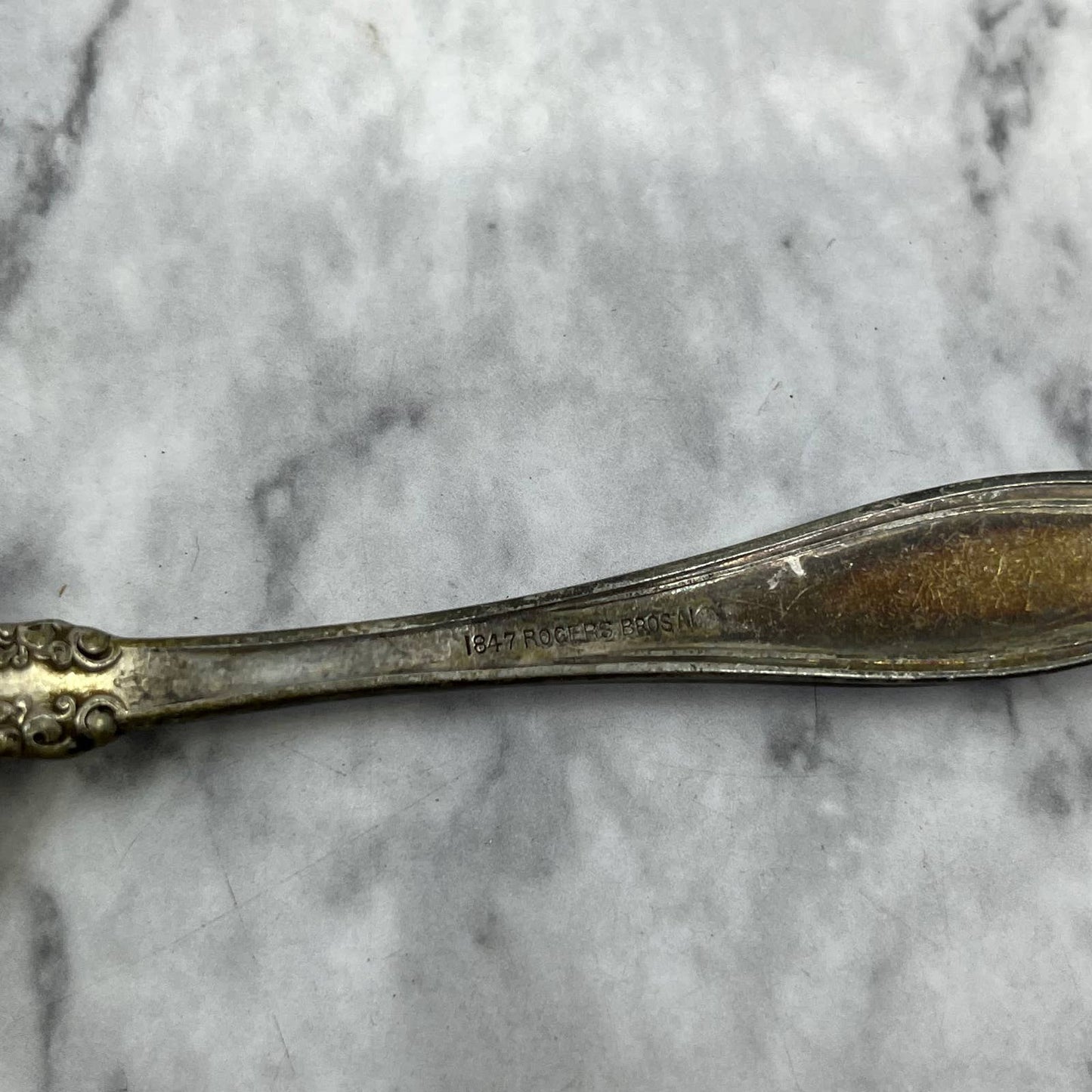 Vintage 1847 Rogers Bros Grape Pattern Table Silverplate Spoon 5.75" SE6-2