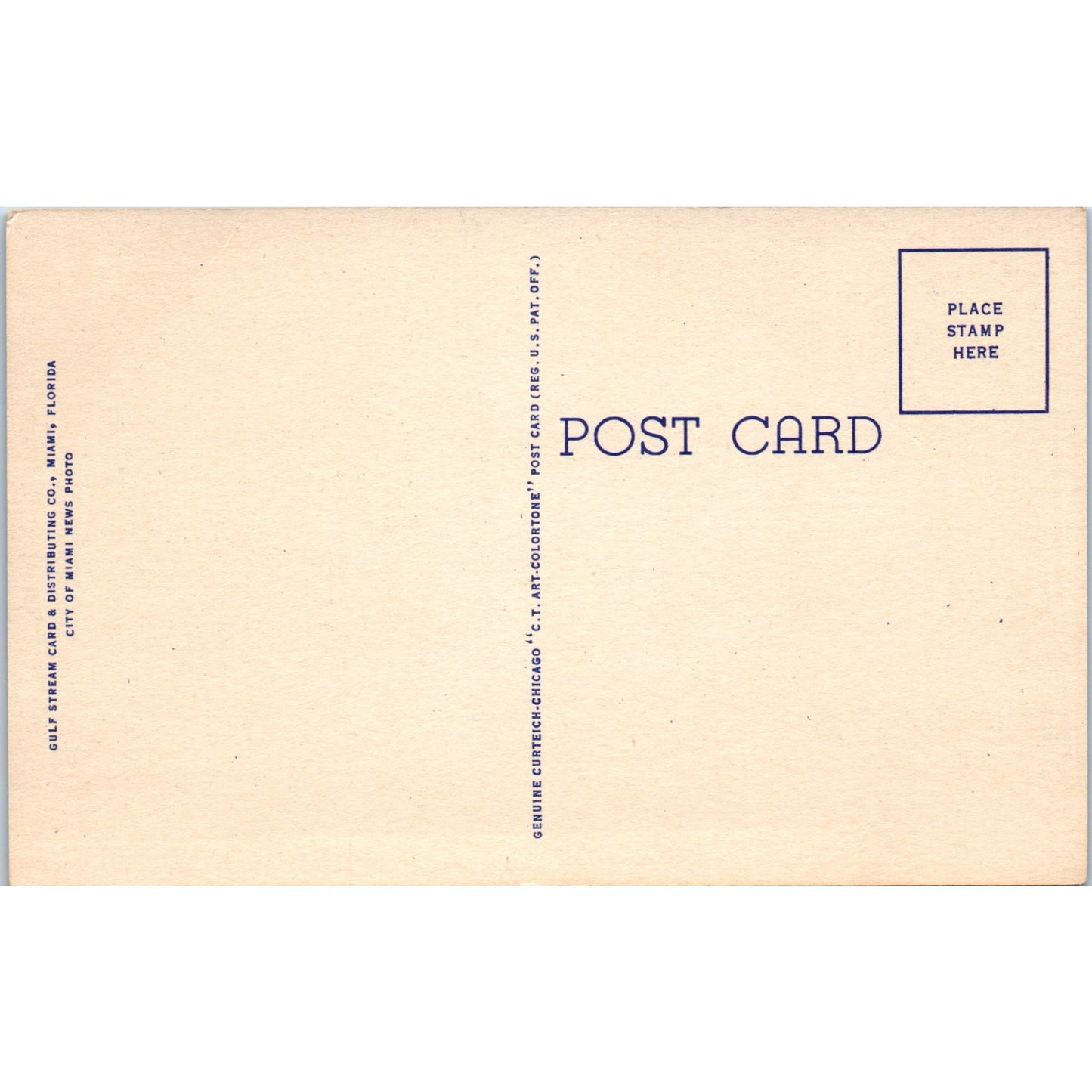 Greyhound Racing at Night in Miami Florida Original Postcard P2-9