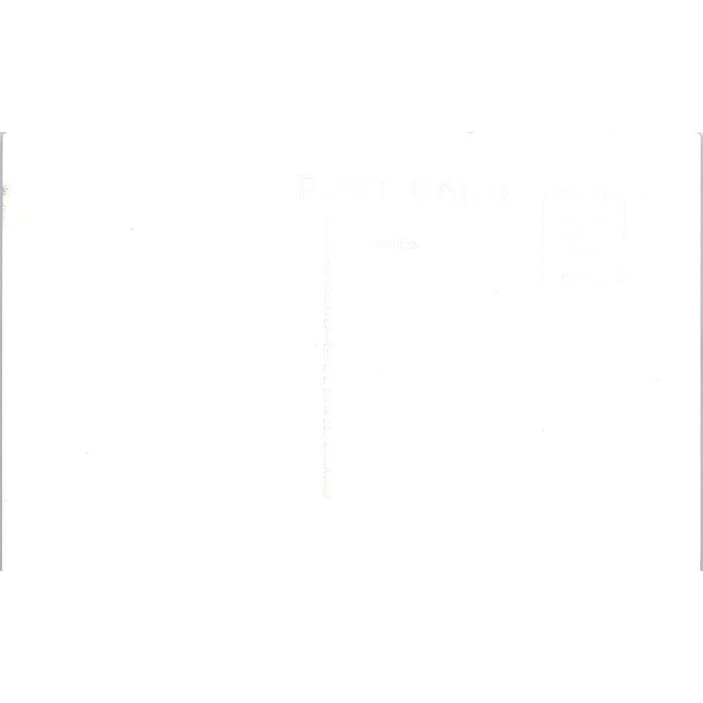 Olson's Resort Horseshoe Lakes View Minong Wisconsin RPPC Postcard TJ9-P3