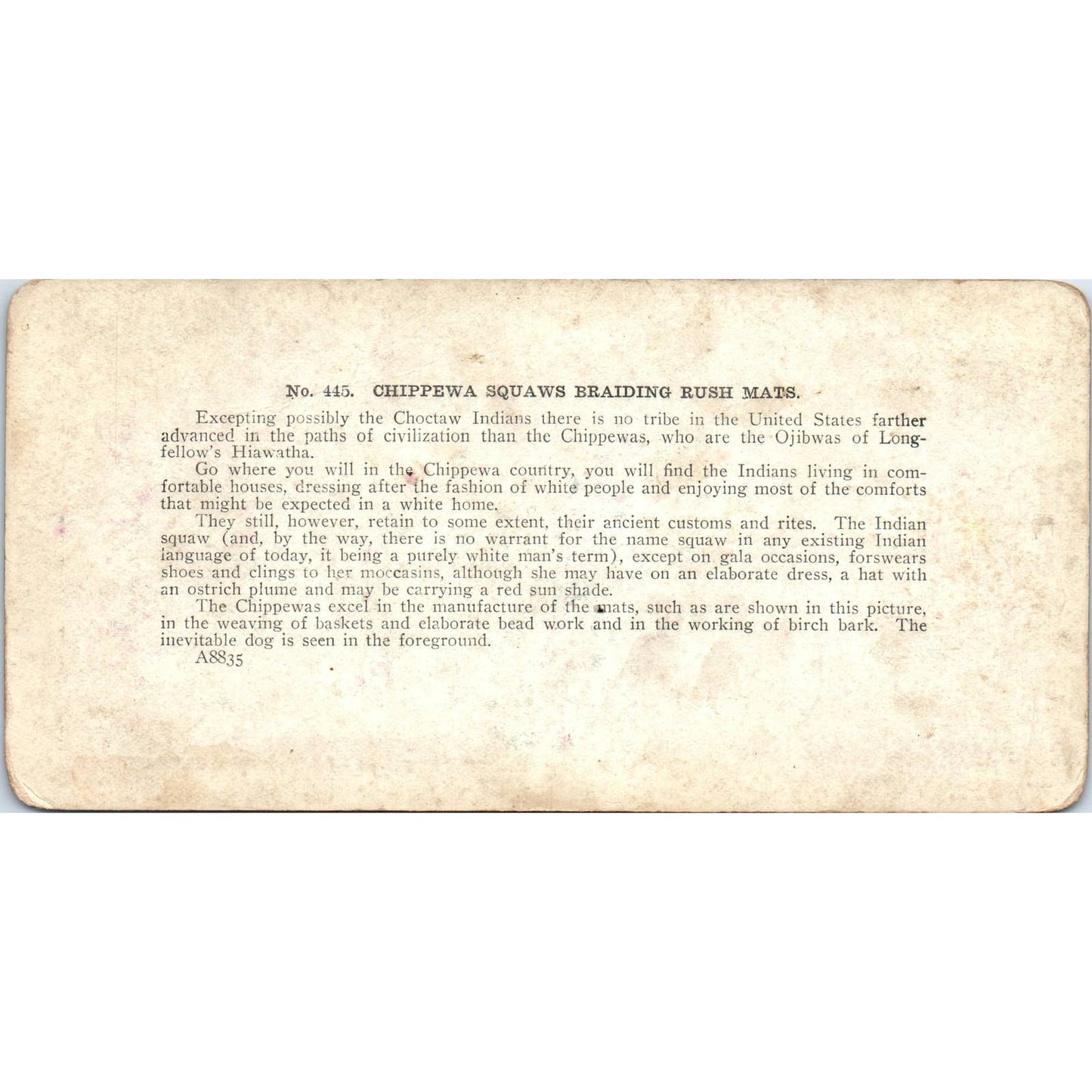 Chippewa Squaws Braiding Rush Mats - Antique Stereoview Card TJ1-C1