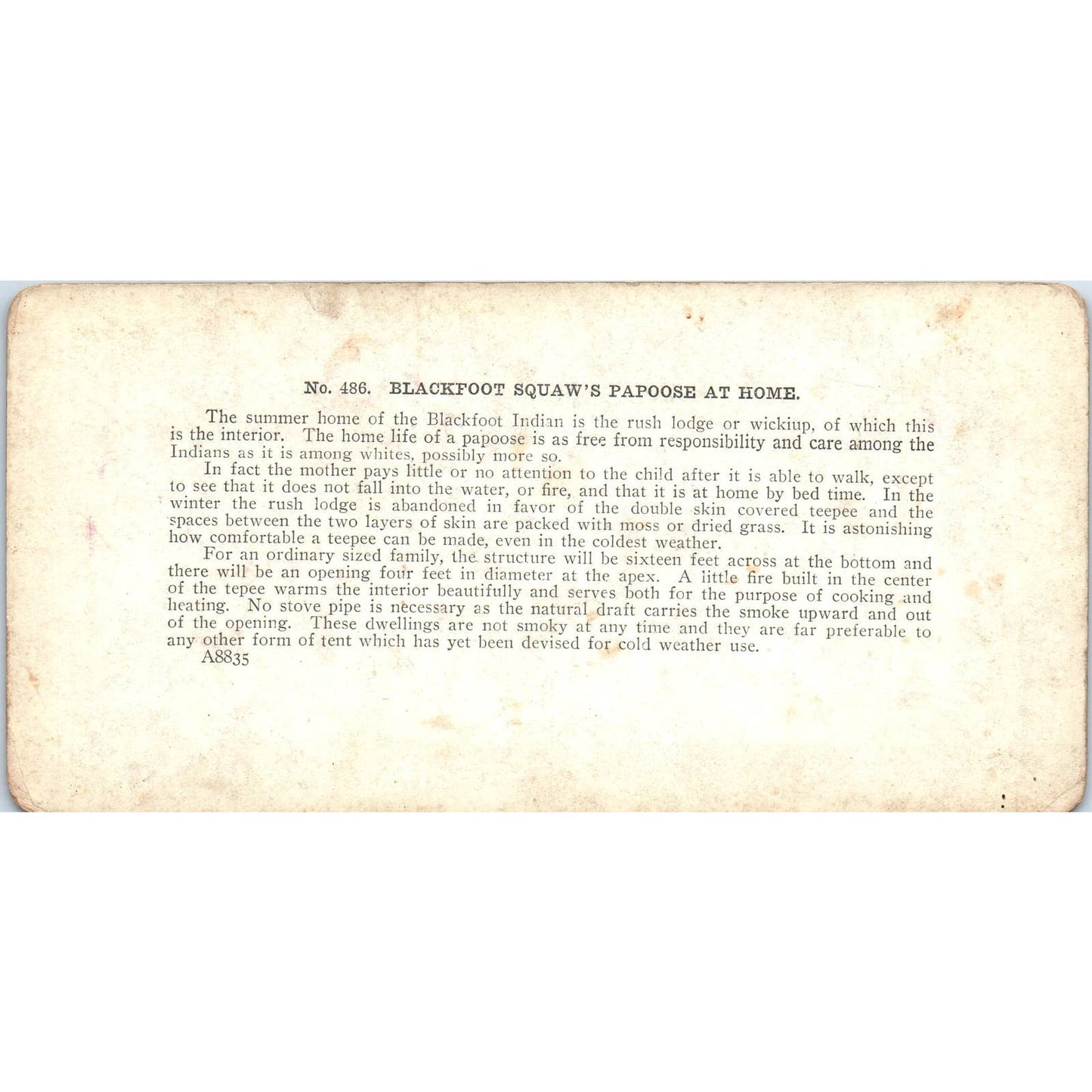 Blackfoot Squaw's Papoose at Home - Antique Stereoview Card TJ1-C1