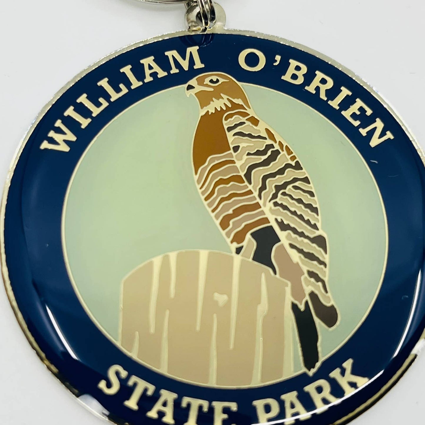 Vintage William O’Brien State Park Minnesota Hawk Enamel Keychain SB3