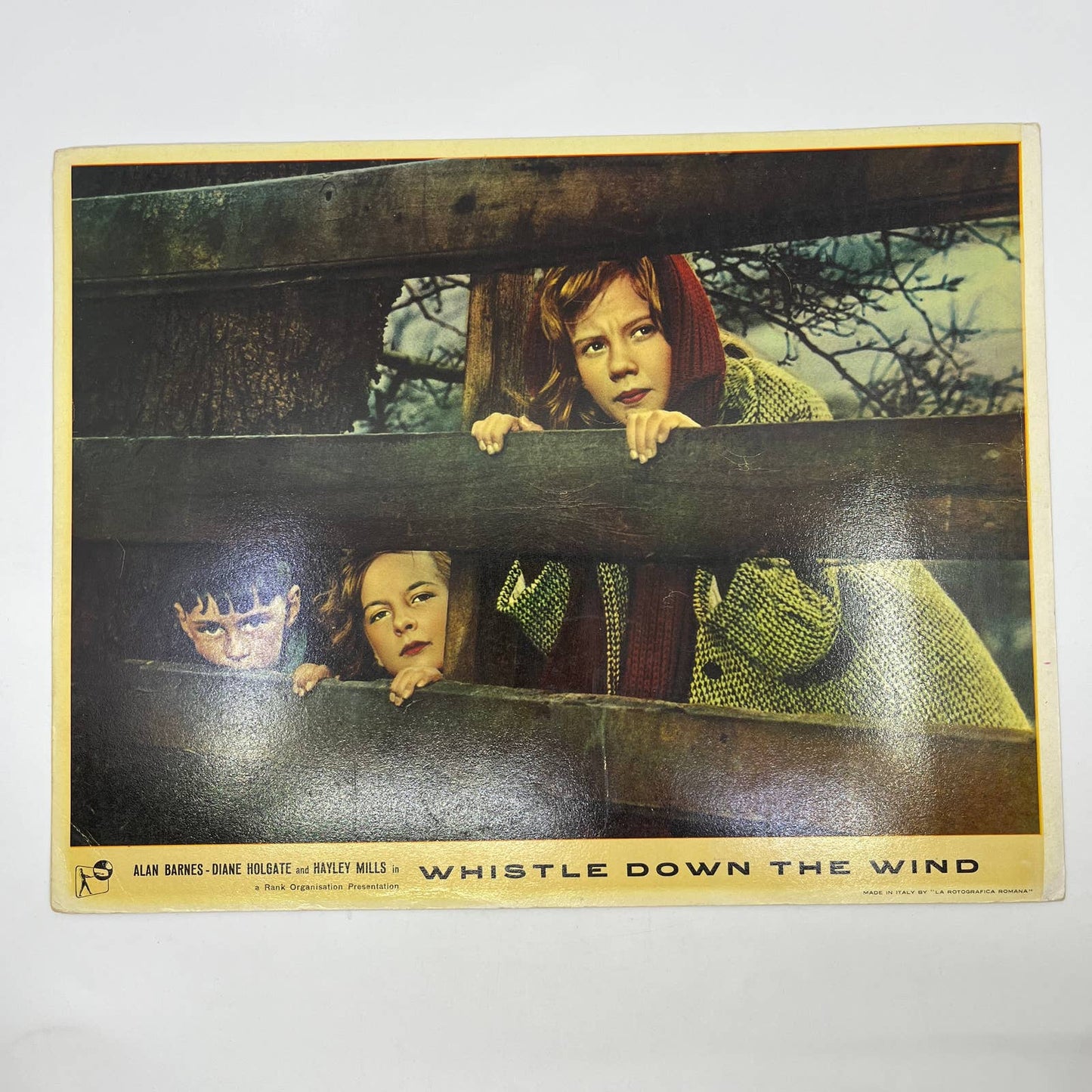 1961 Whistle Down the Wind John Arnatt Alan Bates 11x14 British Lobby Card 3 FL4