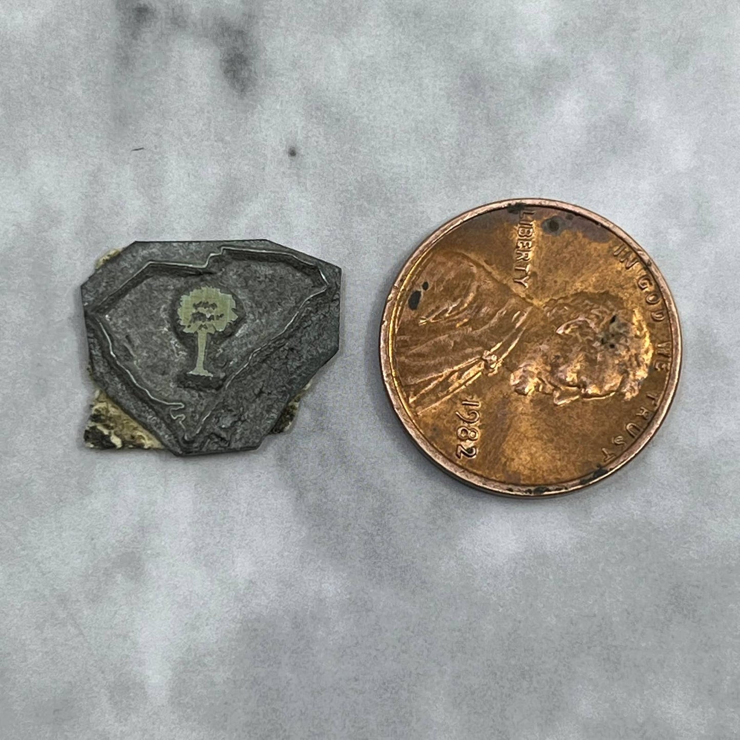 Vintage Printing Letterpress Printers Block Plate South Carolina Palmetto SE819
