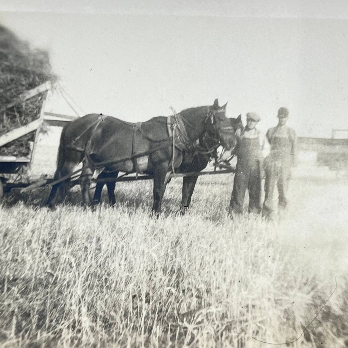 Early 1900s Farming Photo Set of 3 SC9